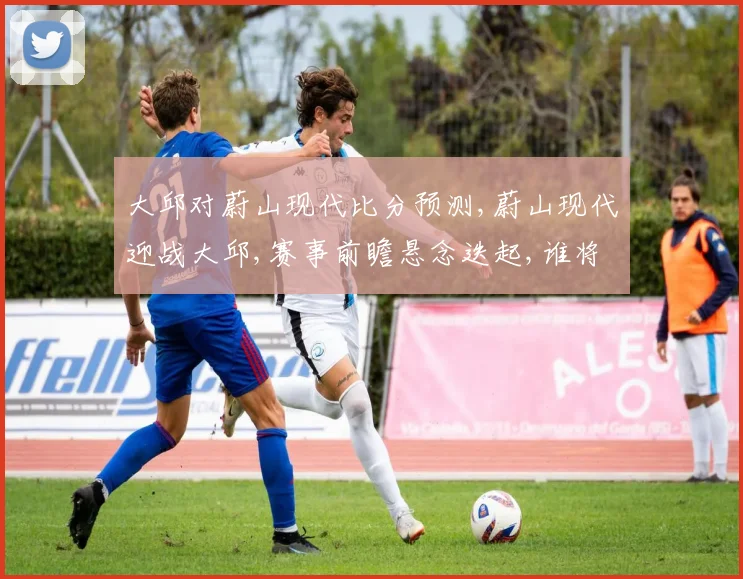 大邱对蔚山现代比分预测,蔚山现代迎战大邱,赛事前瞻悬念迭起,谁将问鼎